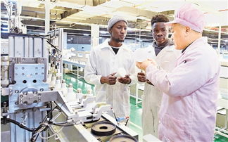 浙江日報 照明電器及配套設備產業，點亮浙江智造新未來